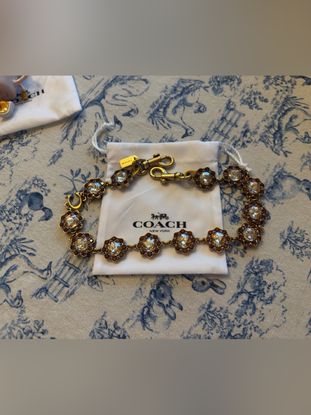 Coach jewel chain